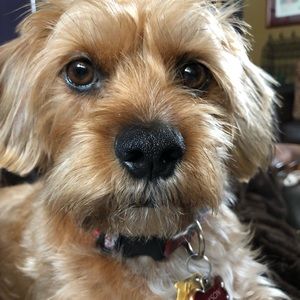 Meet your Posher, Paula